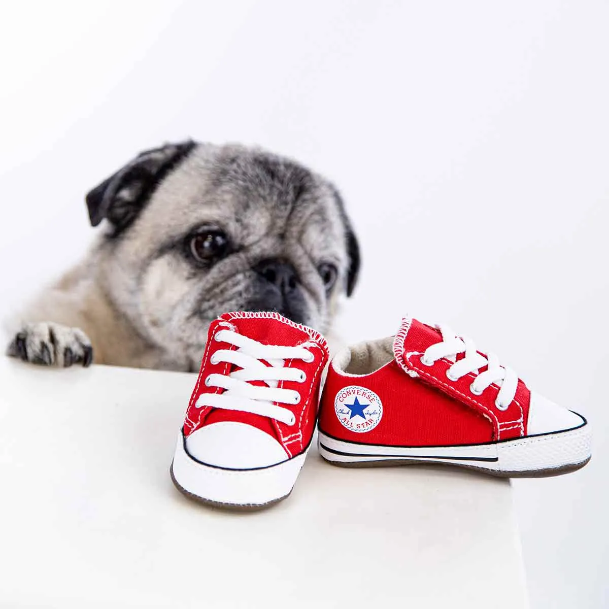 Converse Chuck Taylor All Star Cribster Mid 866933C - rot-weiss
