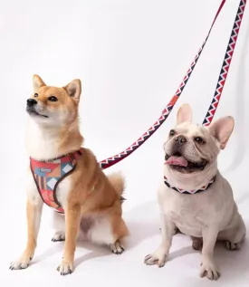 HiDREAM Durable Rainbow Multi-functional 210cm Nylon Dog Leash for Small Medium Large Dogs