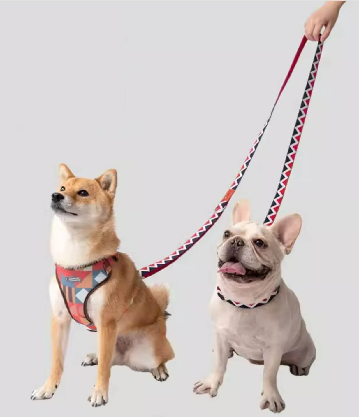 HiDREAM Durable Rainbow Multi-functional 210cm Nylon Dog Leash for Small Medium Large Dogs