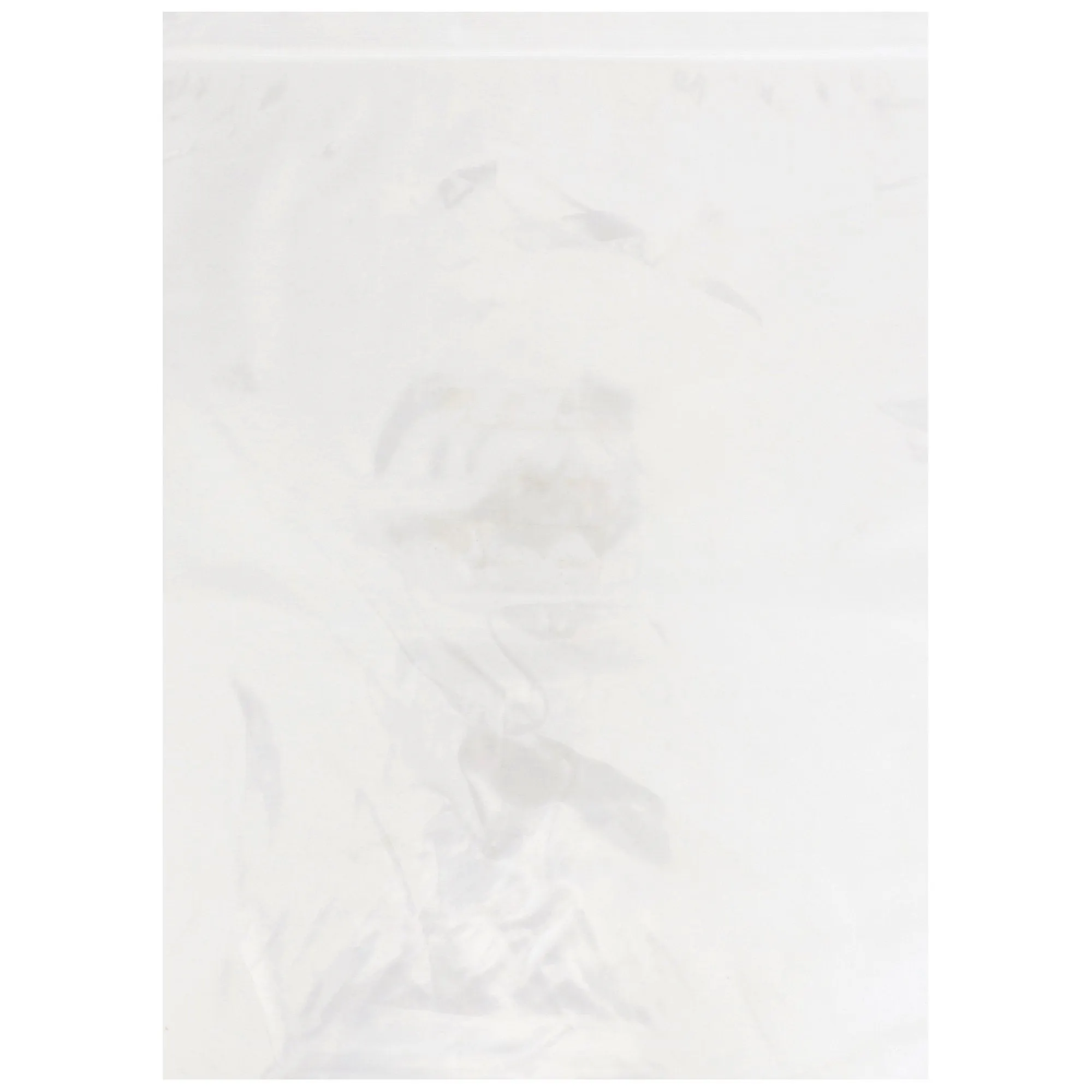 McKesson Zip Closure Bag, 10 X 13 Inches