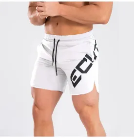 Men's Quick-Dry Elastic Sports Shorts