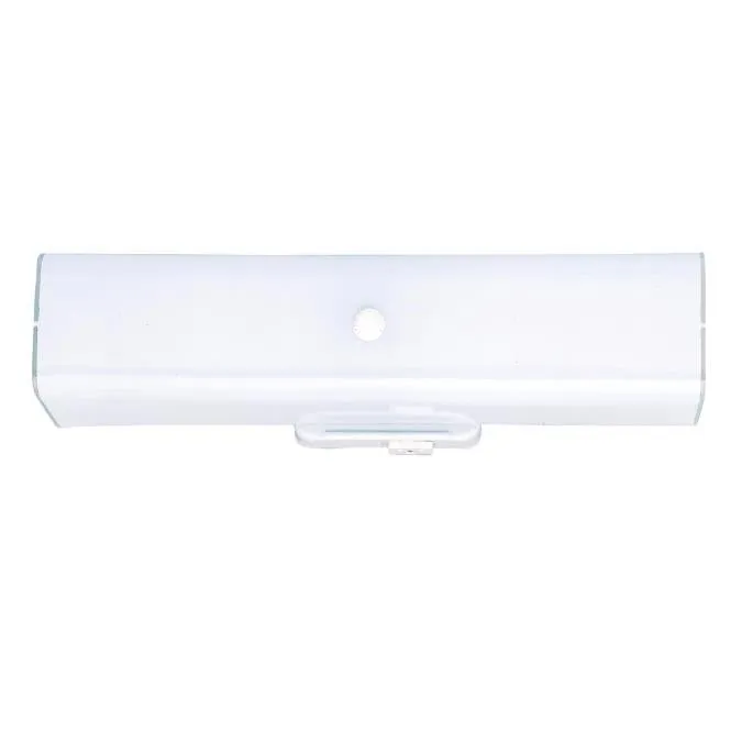 Two-Light Interior Wall Fixture with Ground Convenience Outlet, White Finish Base with White Ceramic Glass